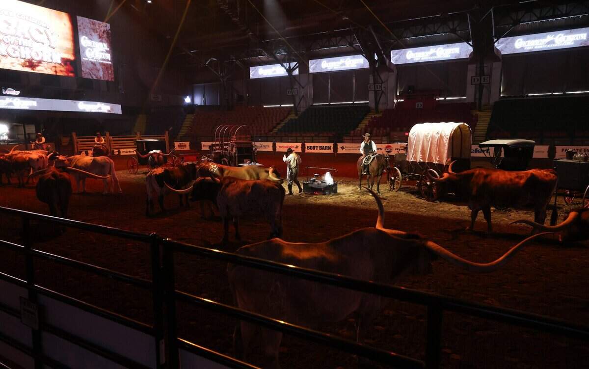 The Fort Worth Herd circles authentic wagons during Cowtown Coliseum's newest show 'Legacy of the Longhorn' on Tuesday, Aug. 25, 2026, in Fort Worth. The show tells the story of the American cattle drives and Fort Worth's western heritage.
